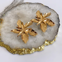 Load image into Gallery viewer, Kita Earrings

